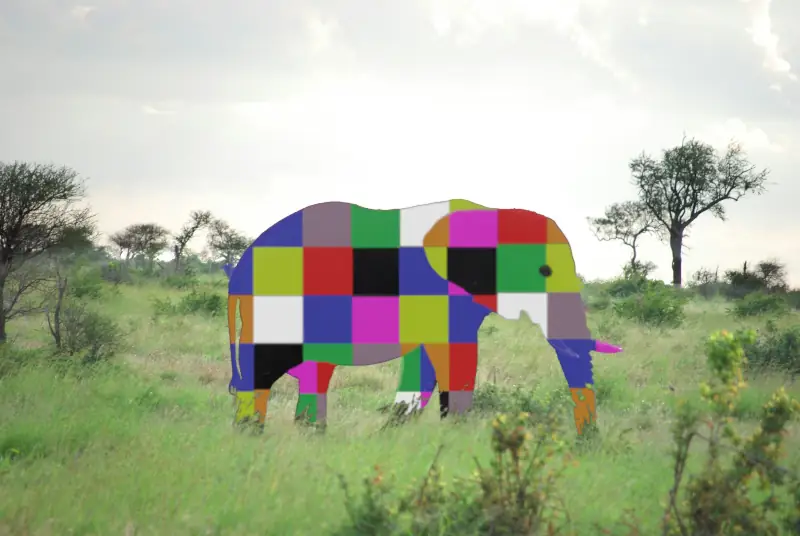 Elmer-activities-image-a-multicoloured-elephant